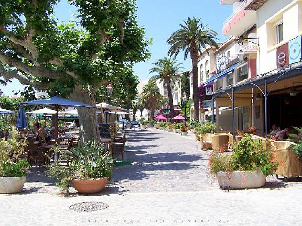 183 D36 LE LAVANDOU_000039.jpg